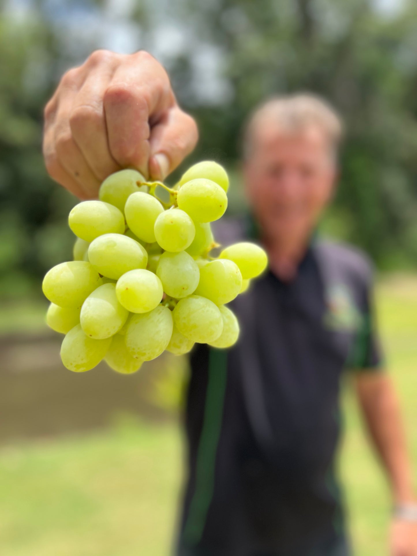 Large Premium Australian Crisp Green Grapes-The Village Grocer Club