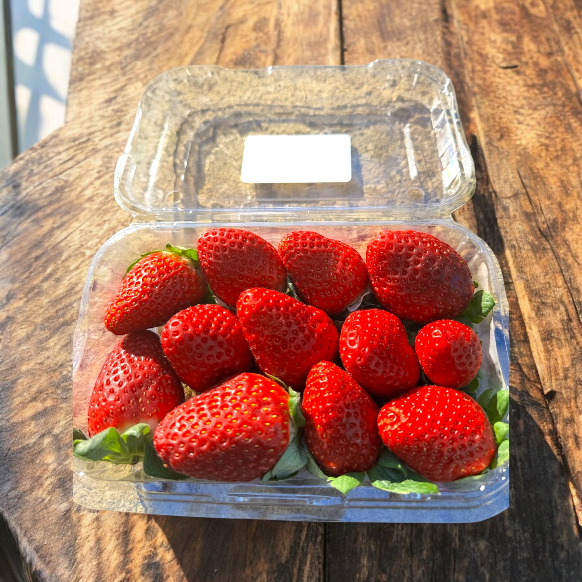 Queensland Strawberries, big and beautiful-The Village Grocer Club