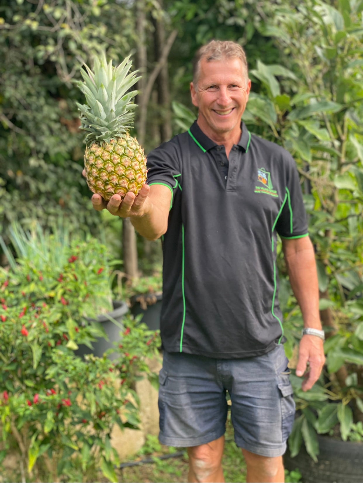 Sweet Queensland Pineapple