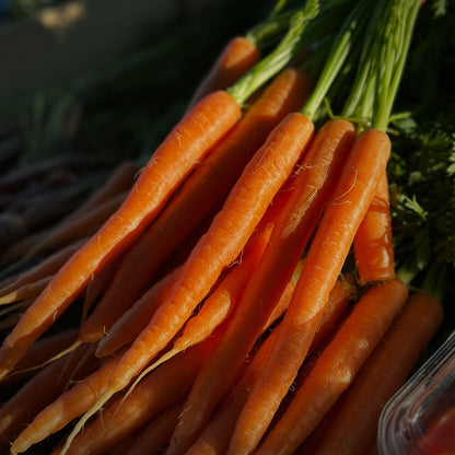 *Back in Season* Dutch Carrots
