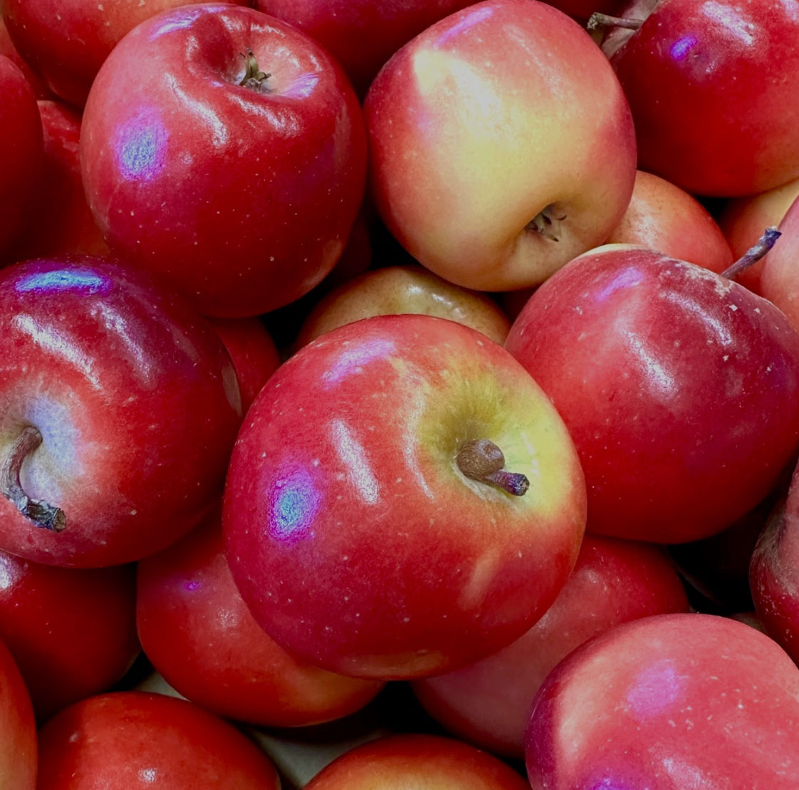 Autumn Crunch - Delightful Missile Apples