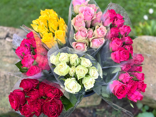 *Weekend Special* Ten Beautiful Roses