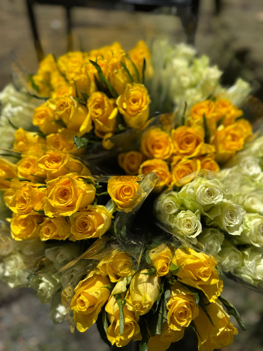 * Mothers Day Special* Ten Beautiful Roses
