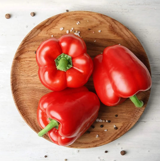 Sweet Red Capsicum