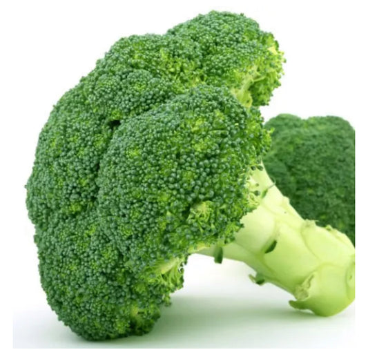 Fresh Premium Broccoli