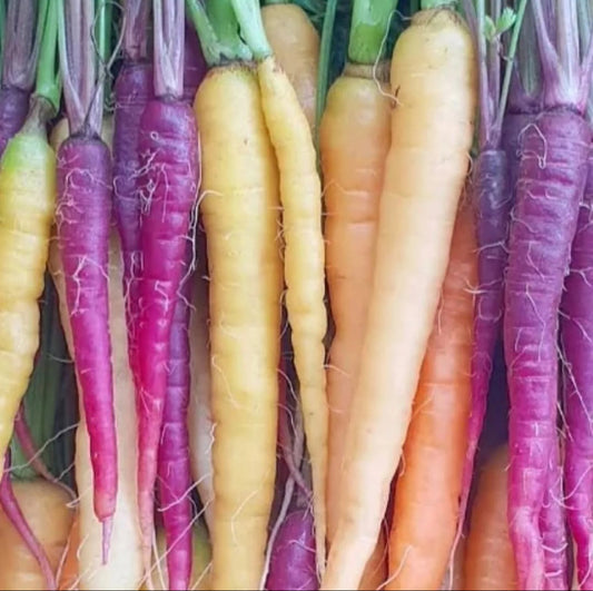 Super Healthy Rainbow Carrots