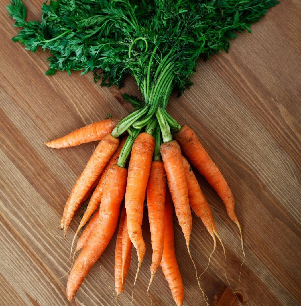 *Back in Season* Dutch Carrots