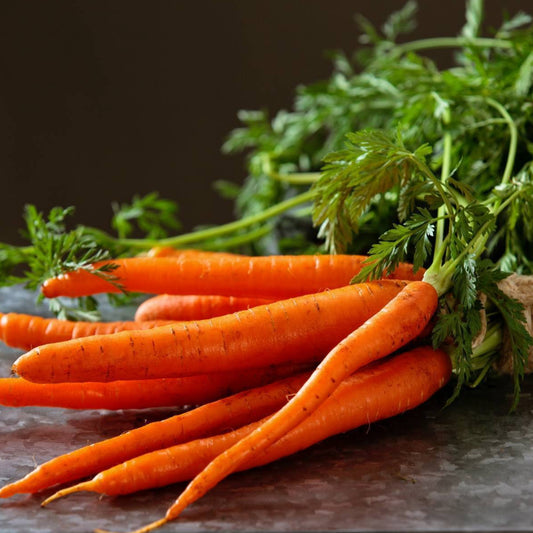 *Back in Season* Dutch Carrots