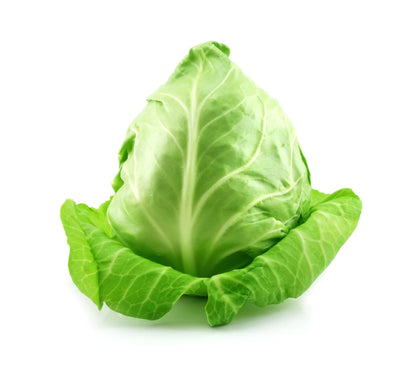 ** New In Store** Sugar Loaf Cabbage
