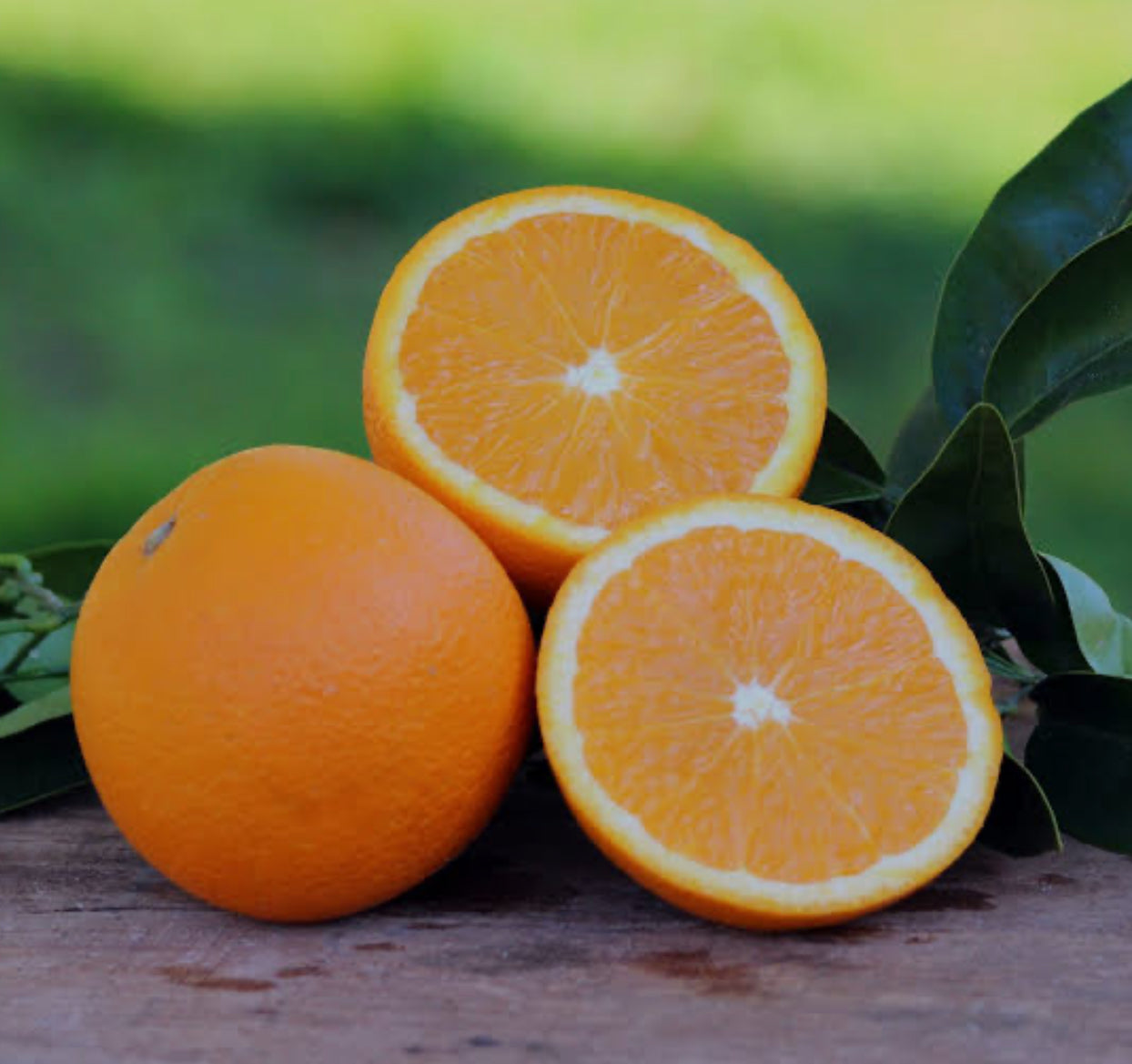 Summer Citrus - New Season Australian Valencia Oranges