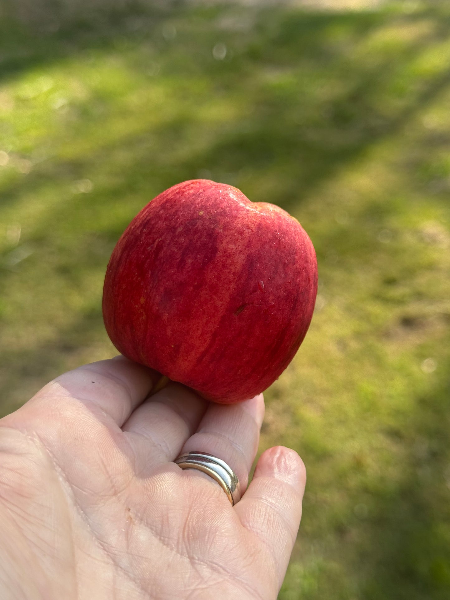 *New* Mini Bites … Delicious Bite Size Apples For Kids