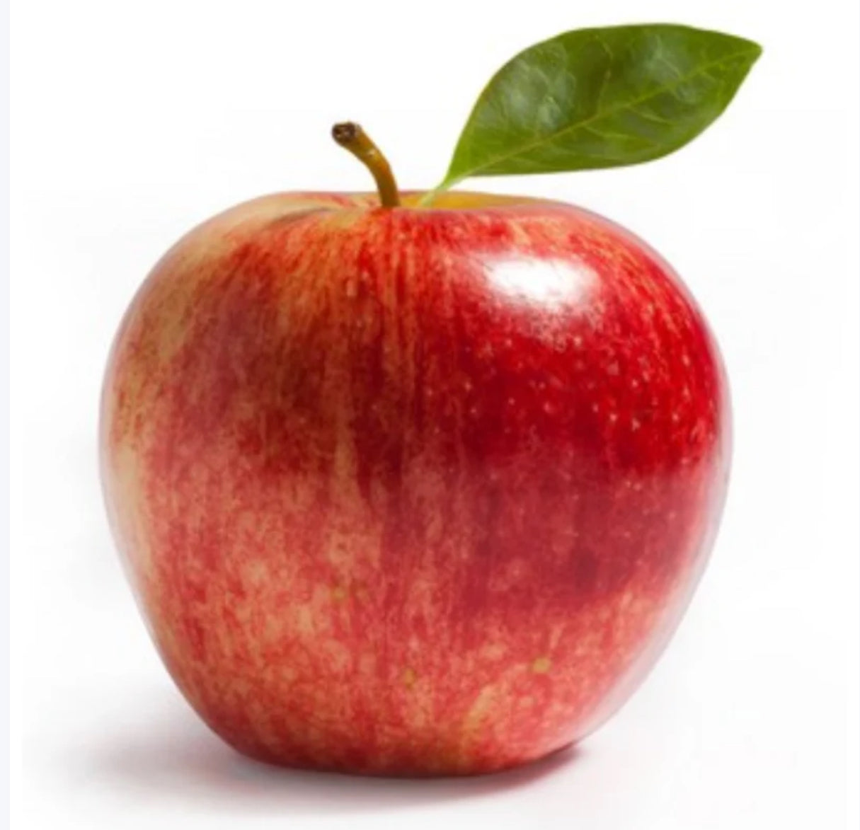 Autumn Crunch - * New Season*  Premium Royal Galas