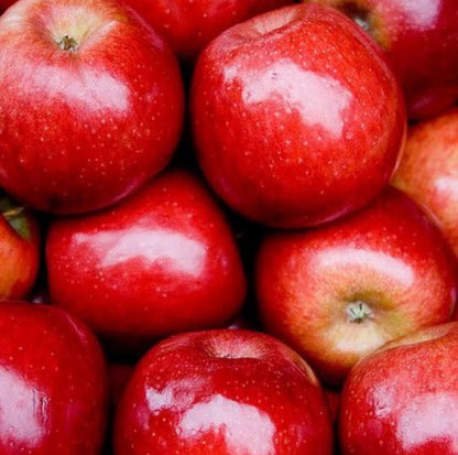 Autumn Crunch - * New Season*  Premium Royal Galas