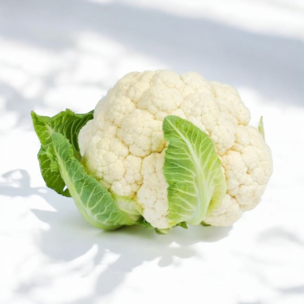 Fresh Picked Cauliflower