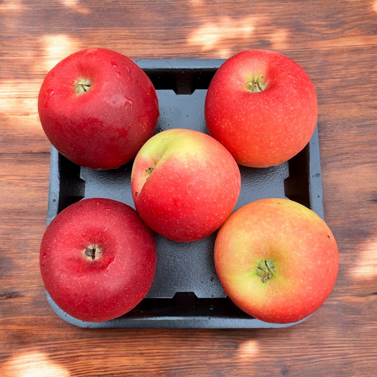 Autumn Crunch - Delightful Missile Apples