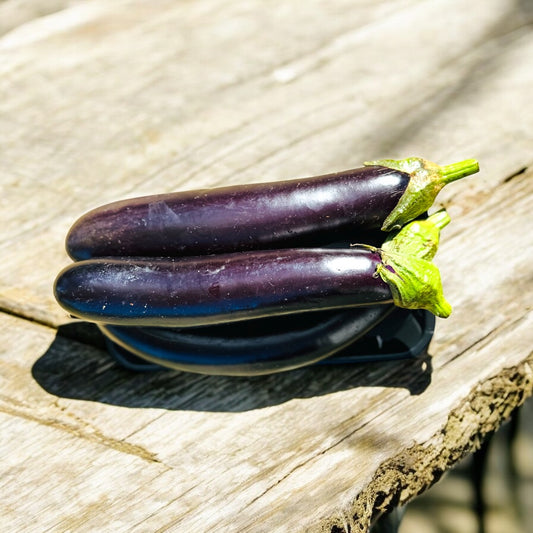 ** On Special** Mini Eggplant Trays