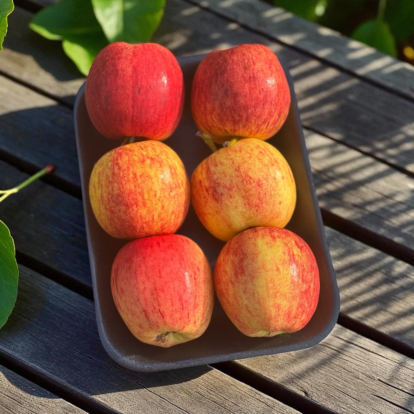*New* Mini Bites … Delicious Bite Size Apples For Kids