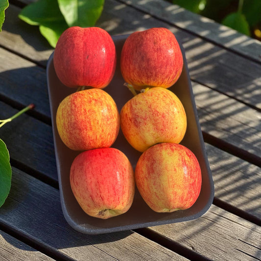 *New* Mini Bites … Delicious Bite Size Apples For Kids
