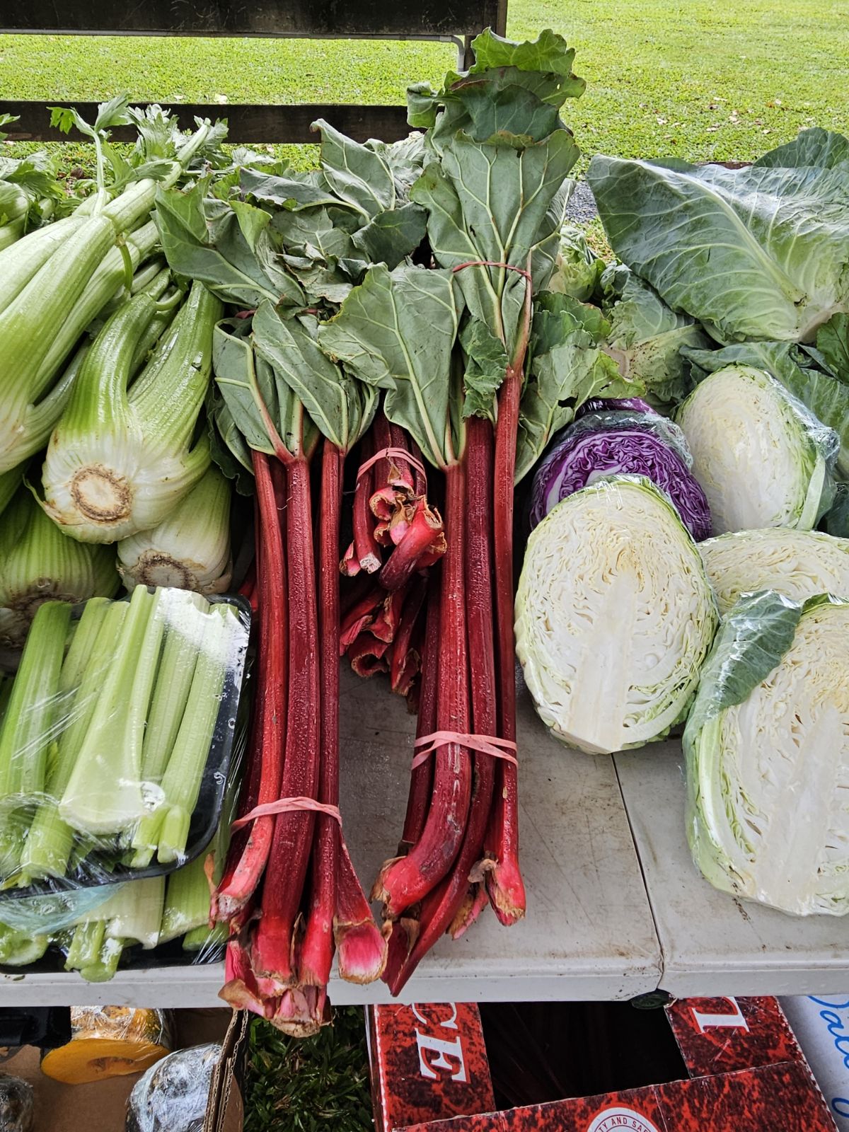 ***Back in Stock*** Locally Grown Rhubarb