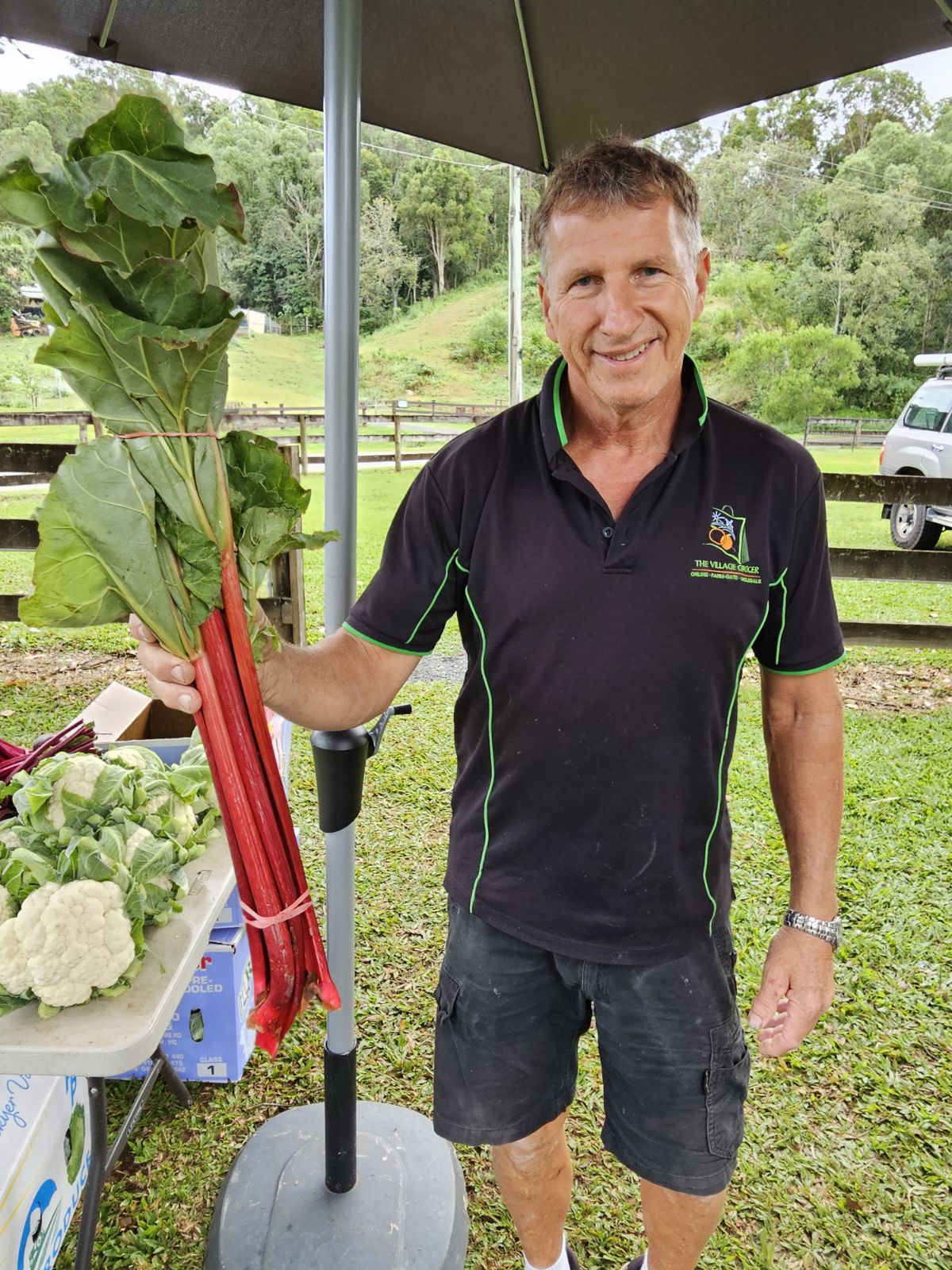 ***Back in Stock*** Locally Grown Rhubarb
