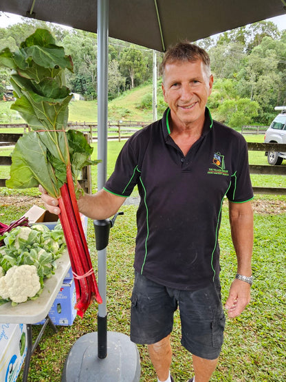 ***Back in Stock*** Locally Grown Rhubarb